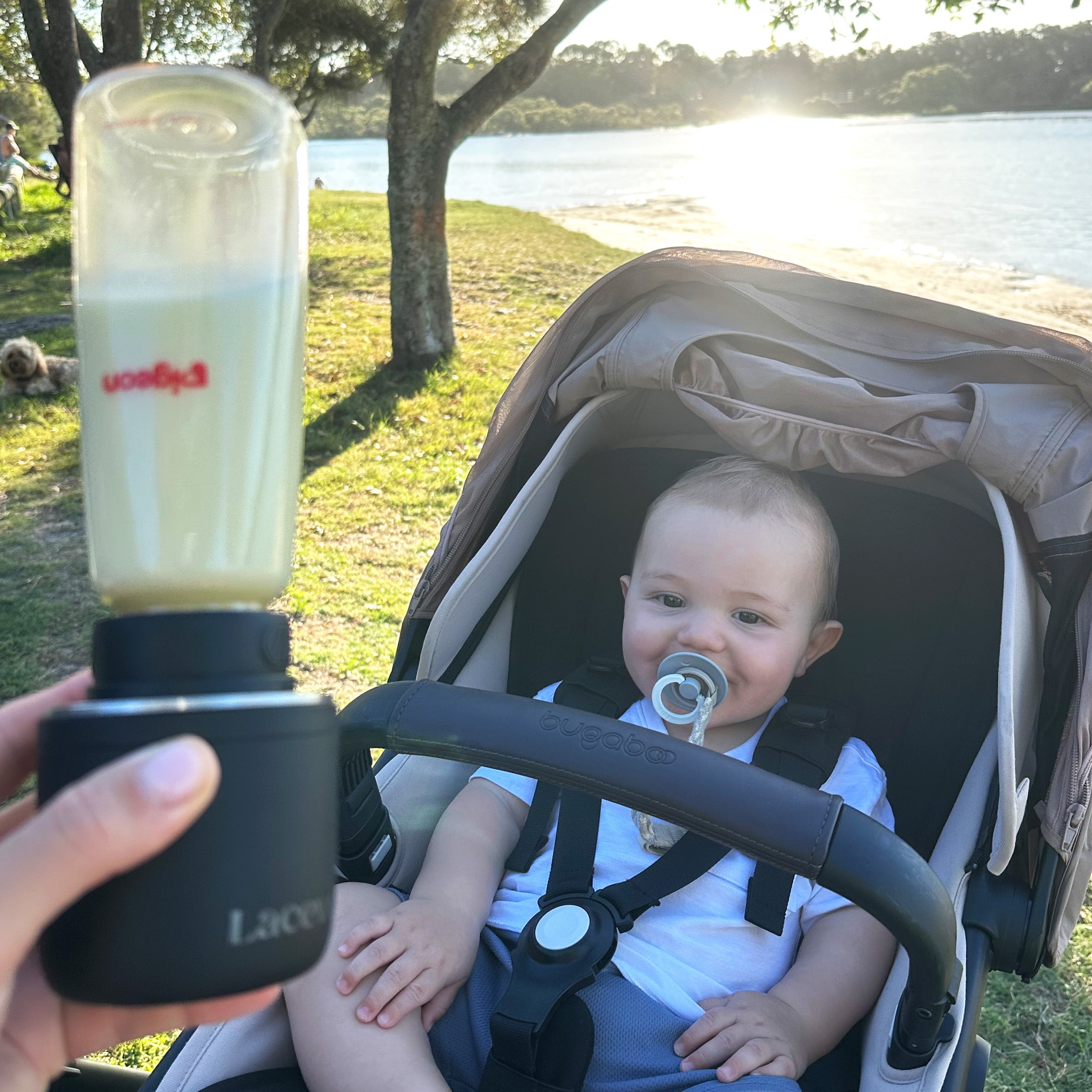 LACEVO N6 portable bottle warmer